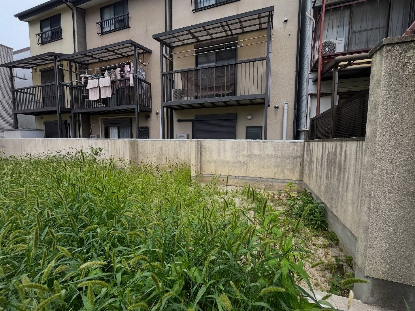 🌱【新規現場スタート！】